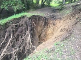 Briones_Landslide.jpg