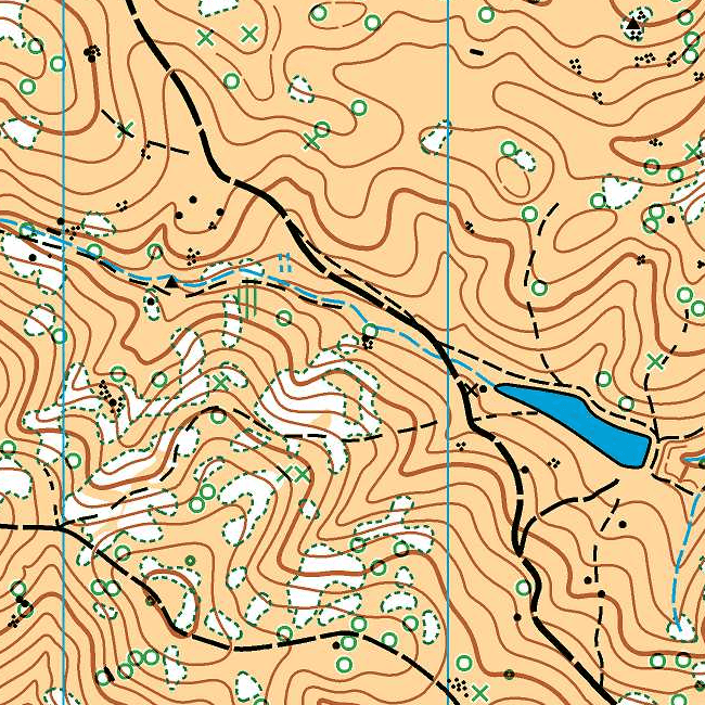 Scale 1:10000, Contours: 5m
